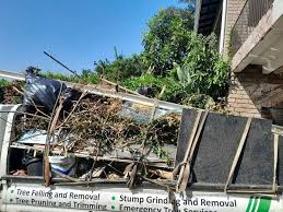 Shed Removal in Sewanee, TN