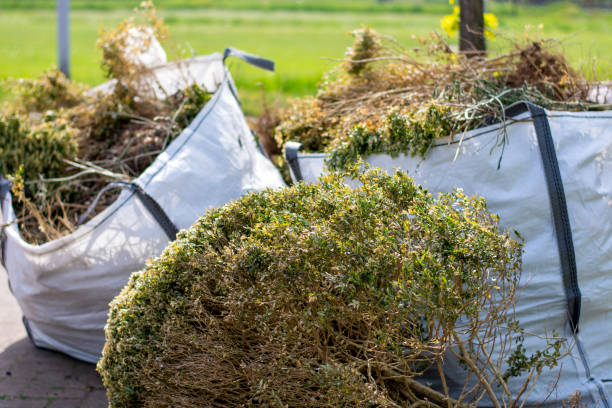 Professional Junk Removal Services in Sewanee, TN